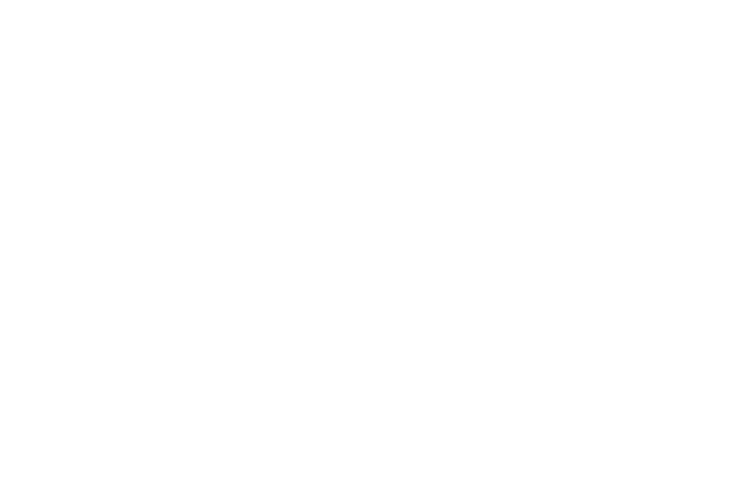 logo thi nhanh
