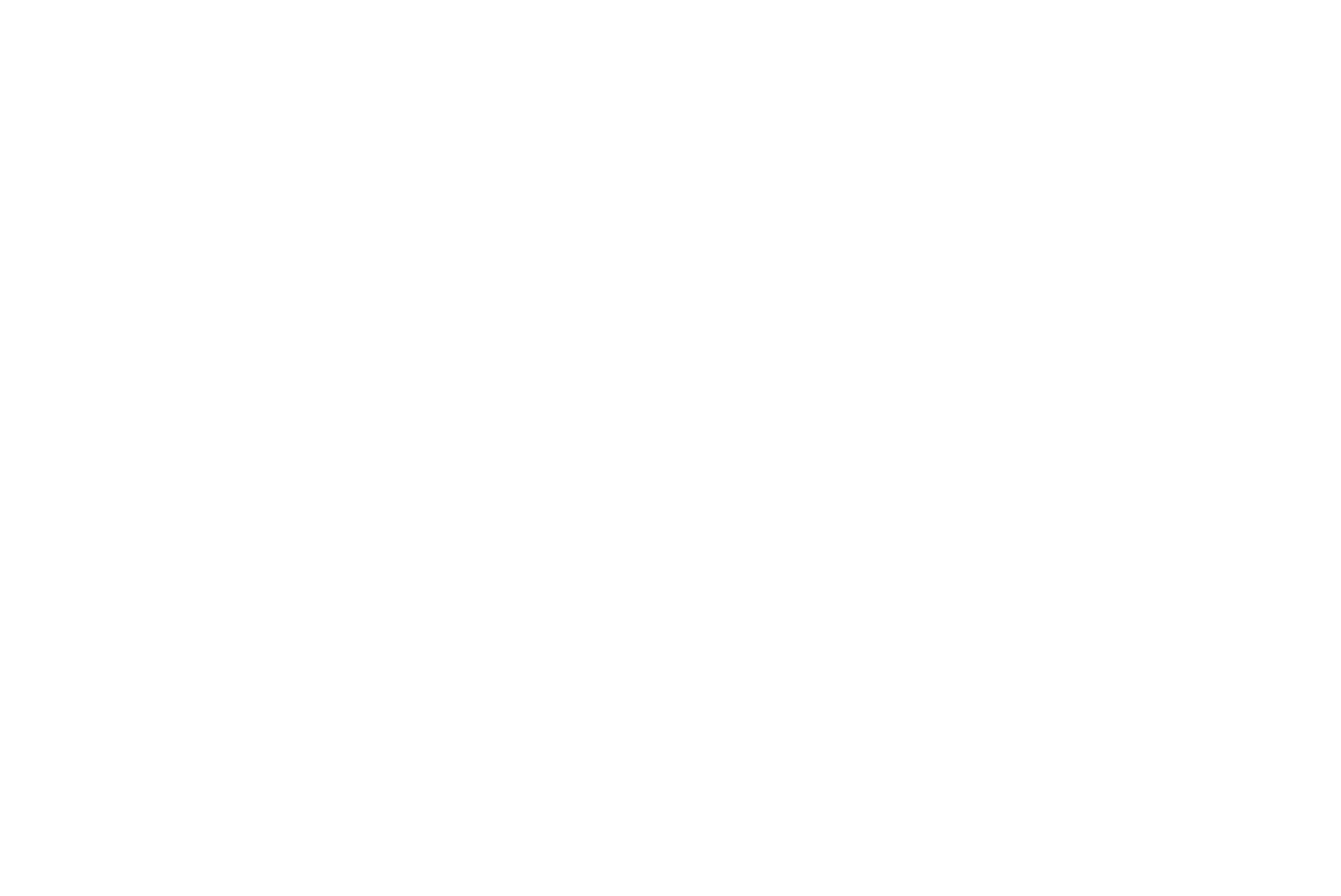 Thi Nhanh Logo